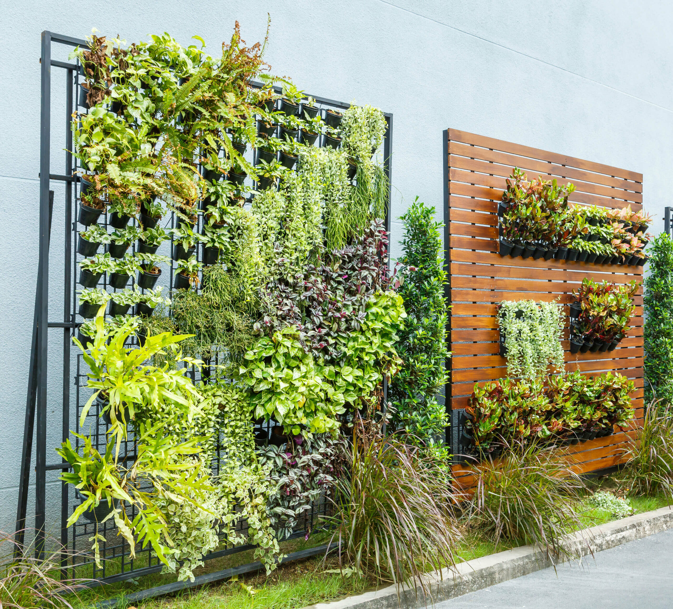 Vertical Gardening