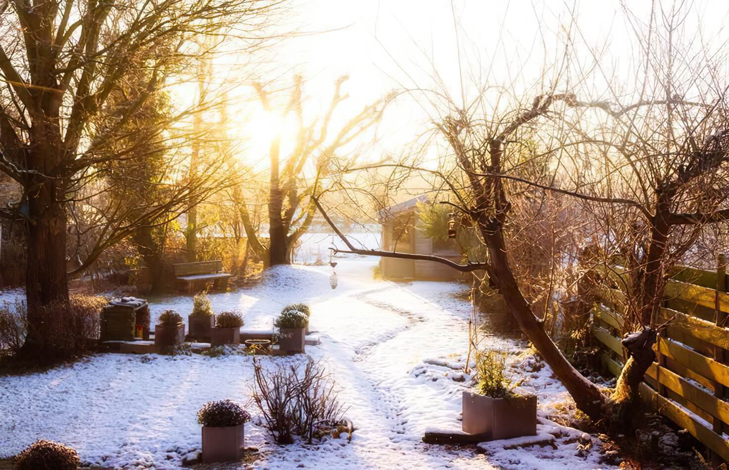Gartenarbeit im Winter