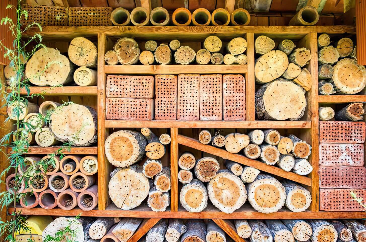 Insektenhotel selber bauen