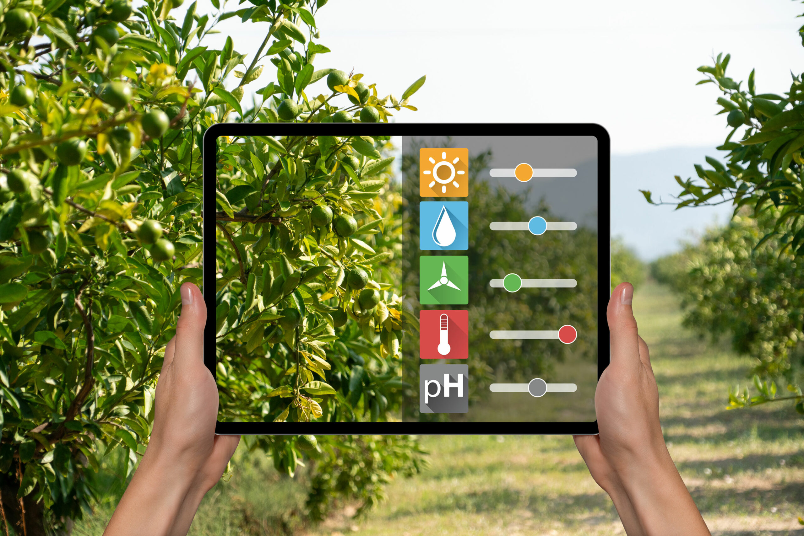 Smart Gardening
