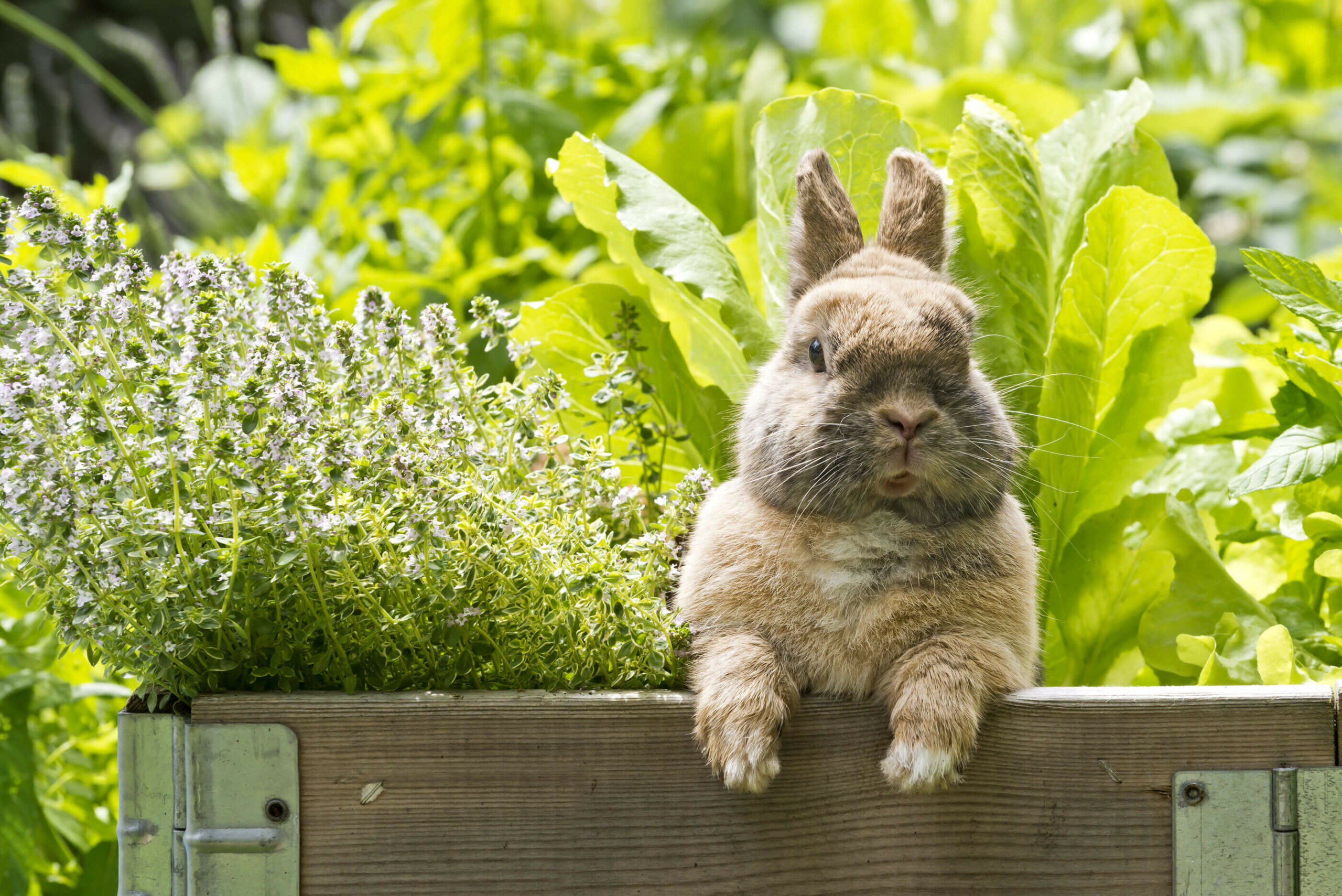 Sehnsucht nach Frühling – Deko-Ideen für Ostern